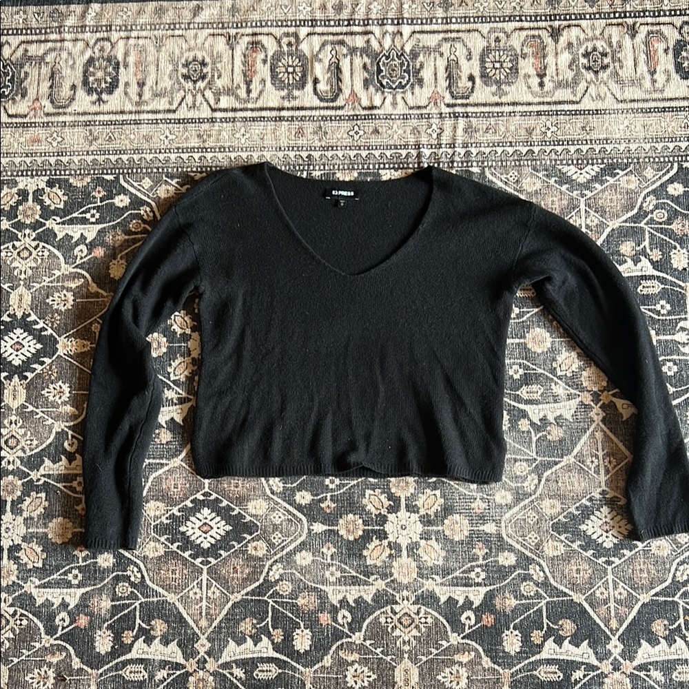 Women’s Express cropped V-neck Sweater